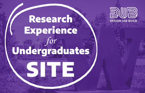 Research experience for Undergraduates Site text over photo of UW's W statue